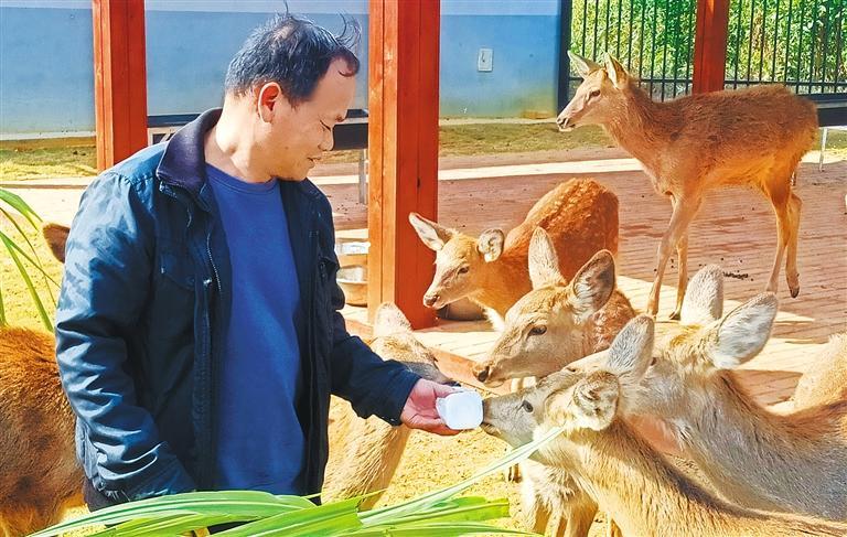 發(fā)展產(chǎn)業(yè)調(diào)研】林下生金AG真人app【高質(zhì)量(圖2) 發(fā)展產(chǎn)業(yè)調(diào)研】林下生金AG真人app【高質(zhì)量(圖2)